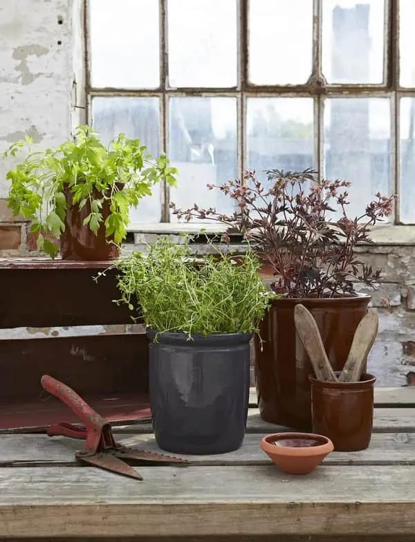 Knabstrup Keramik Syltekrukke 4 Knabstrup Keramik Syltekrukke - Billede 2