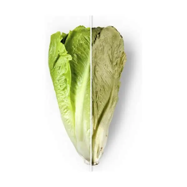 Fosa Madrid Vakuumsystem Beholdere - 3 Stk. 9 Fosa Madrid Vakuumsystem Beholdere - 3 Stk. - Billede 7