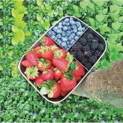 Yummii Yummii Denmark Bento Boks Large Med 3 Rum -Møbelbutik 3990 68719ddc beee 4152 ba2a ac07f7e80ff4