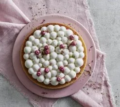 By Ditte Julie Tærtering - Premium Tærteform til Perfekt Bageoplevelse -Møbelbutik 3990 74b06a39 9d2e 4f78 bf87 68376bd19bb2