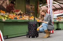 Reisenthel Citycruiser Taske - Elegant og Praktisk Køletaske til Byen -Møbelbutik 3990 d47de091 b7f3 460d a3d3 2e5ff096174c