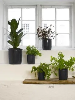 Knabstrup Keramik Syltekrukke - Elegant Opbevaringskrukke til Køkkenet -Møbelbutik 3990 df93d564 ab27 4210 826a 3a014a475323